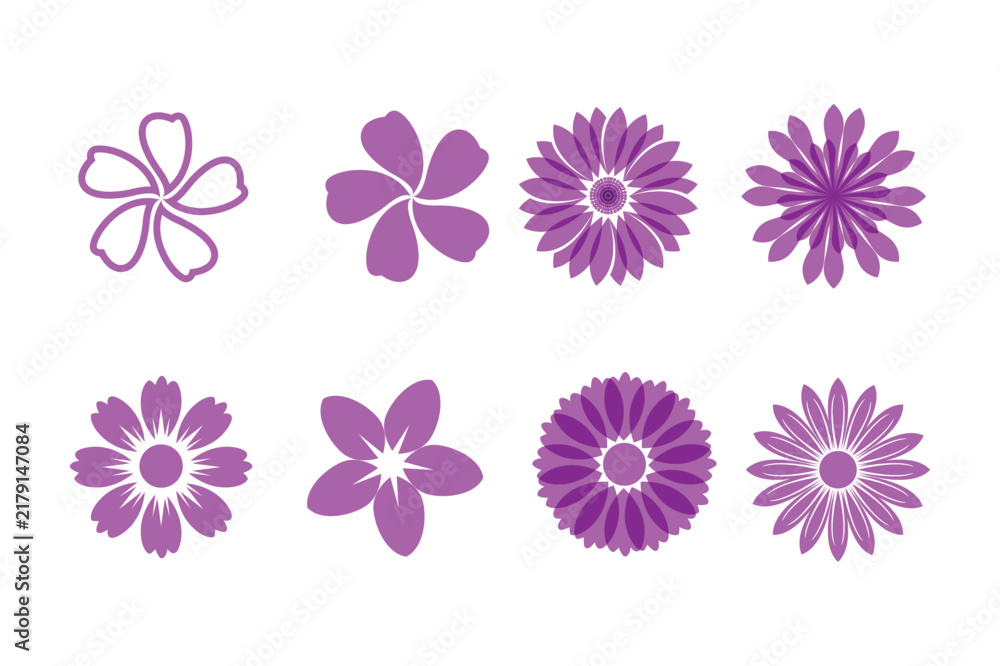 Fototapeta premium Set of eight purple flower with various petal shapes and styles isolated on a white background, for projects