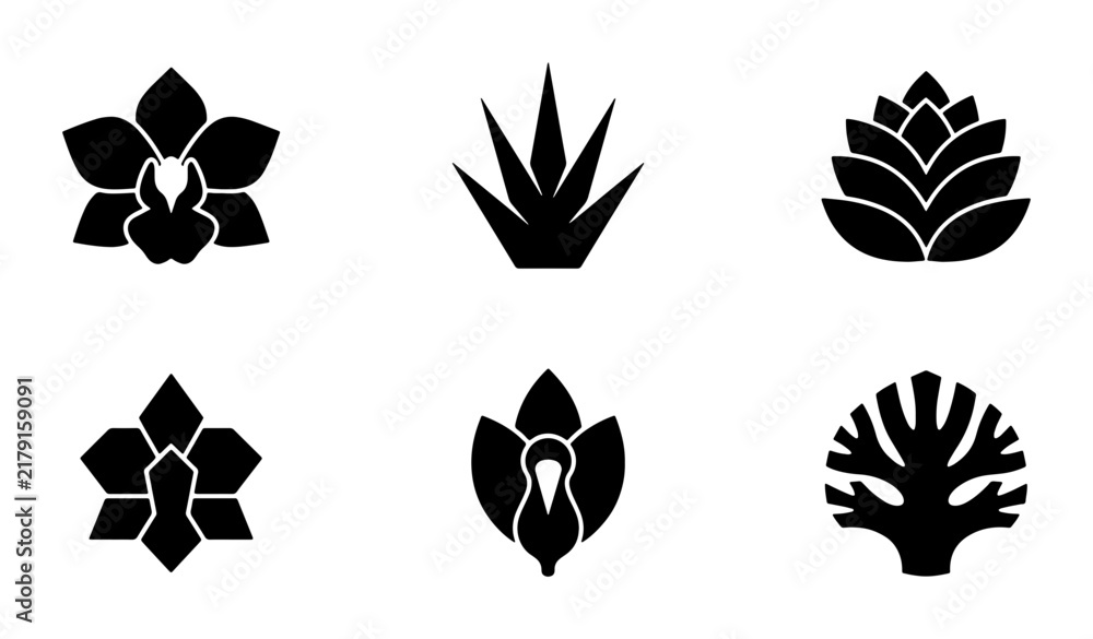 Fototapeta premium Botanical Icons Set, Floral Silhouettes Collection, Nature Elements Vector Graphics, Orchid and Succulent Symbols