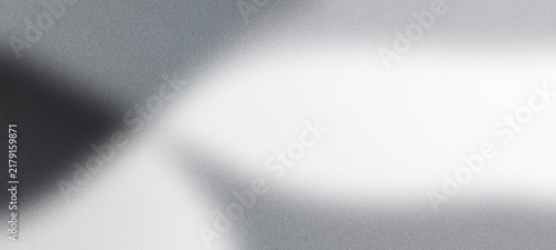 Quadro su tela Grainy gray and white asymmetric lobes abstract background
