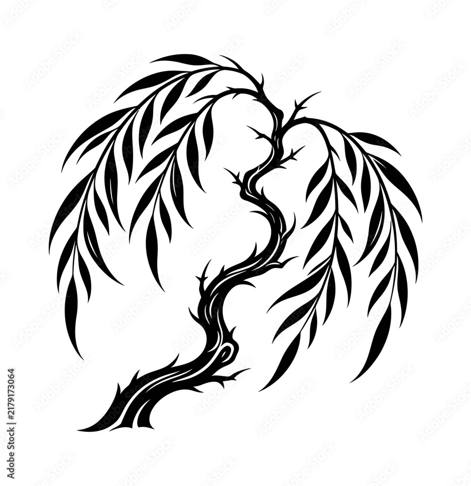 Fototapeta premium Stylized Weeping Willow Tree Silhouette Illustration on Isolated White Background