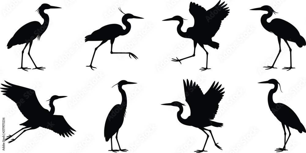 Obraz premium Collection of black silhouettes of herons and cranes in various poses, including standing, walking, and flying, isolated on a white background, for use