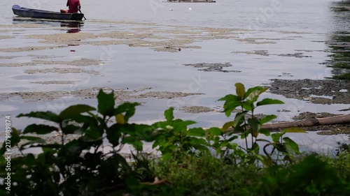 person in a small boat on a lake with dark, organic scum floating on the water's surface near the shore, where fish cages and structures are visible in the background.
