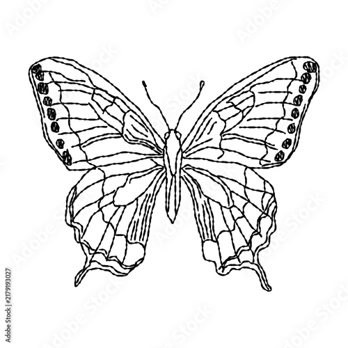 Hand drawn swallowtail butterfly line art, ink pen bleeding brush texture sketch, black and white insect