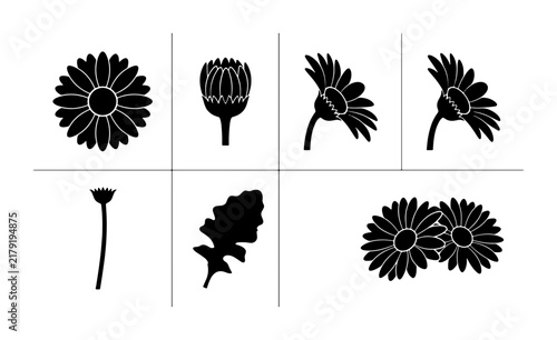 Daisy Flower Vector Icons Set, Botanical Elements Collection, Floral Graphic Resources, Black and White Simple Illustrations