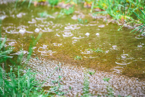 Konstfotografi Nature background with wet soil and grass