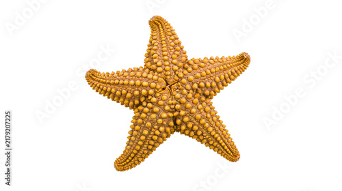 Quadro su tela Orange starfish with bumpy texture, isolated on transparent background