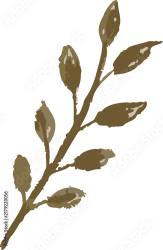 leaf