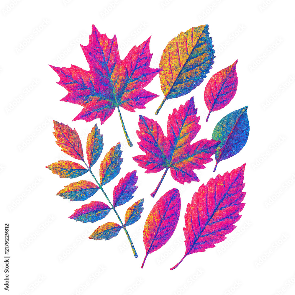 Obraz premium PNG Vibrant autumn leaves illustration