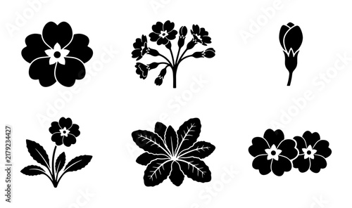 Floral Silhouettes Vector Collection, Primrose Flower Icons, Botanical Outline Graphics, Spring Bloom Illustrations