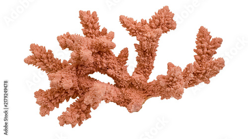 Foto Rough textured copper dendritic crystal formation, isolated on transparent backg