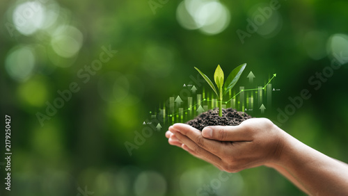 Green energy innovation with renewable investment, ESG strategy for sustainable business and environmental. Hand holding growing plants with stock market graph for clean growth and eco technology