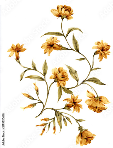 Hand painted watercolor flowers