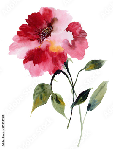 Hand painted watercolor flowers