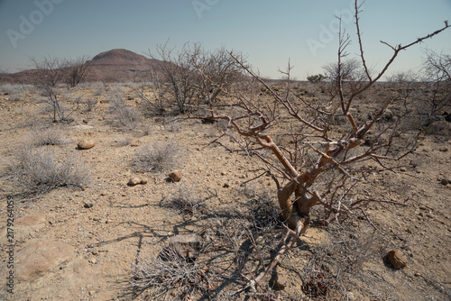 dry season in desert