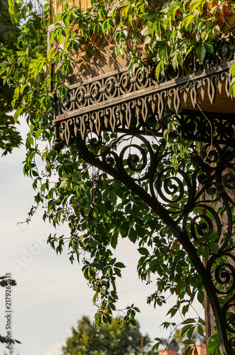 Wrought iron canopy porch decorated with green creeping ivy leaves pattern