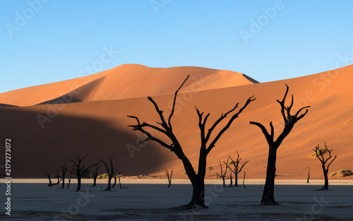 Quadro su tela Dead trees against an orange dune at Deadvlei, Sossusvlei, Namibia