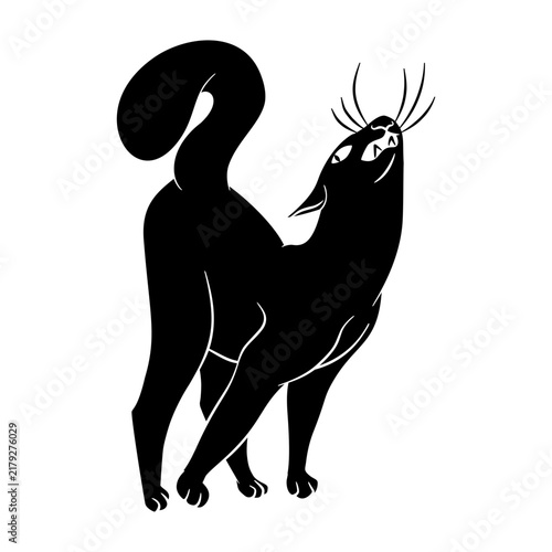 Black Cat Silhouettes Concept