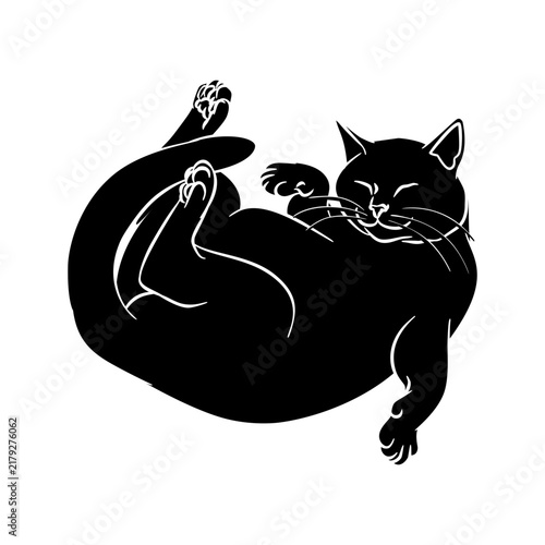 Black Cat Silhouettes Concept