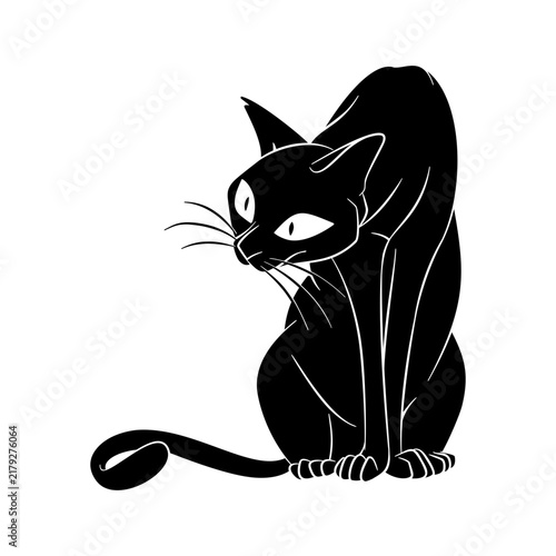 Black Cat Silhouettes Concept