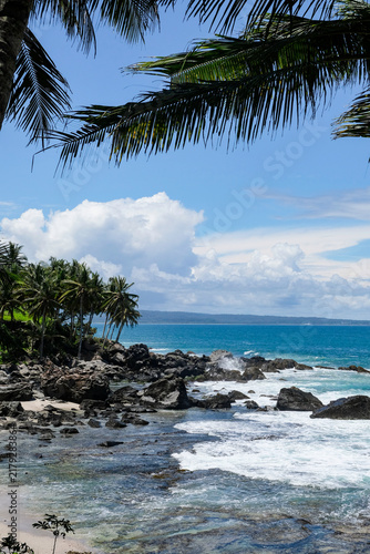 Scenic tropical rocky beach with palm trees, turquoise ocean, and beautiful cloudy sky for summer vacation background