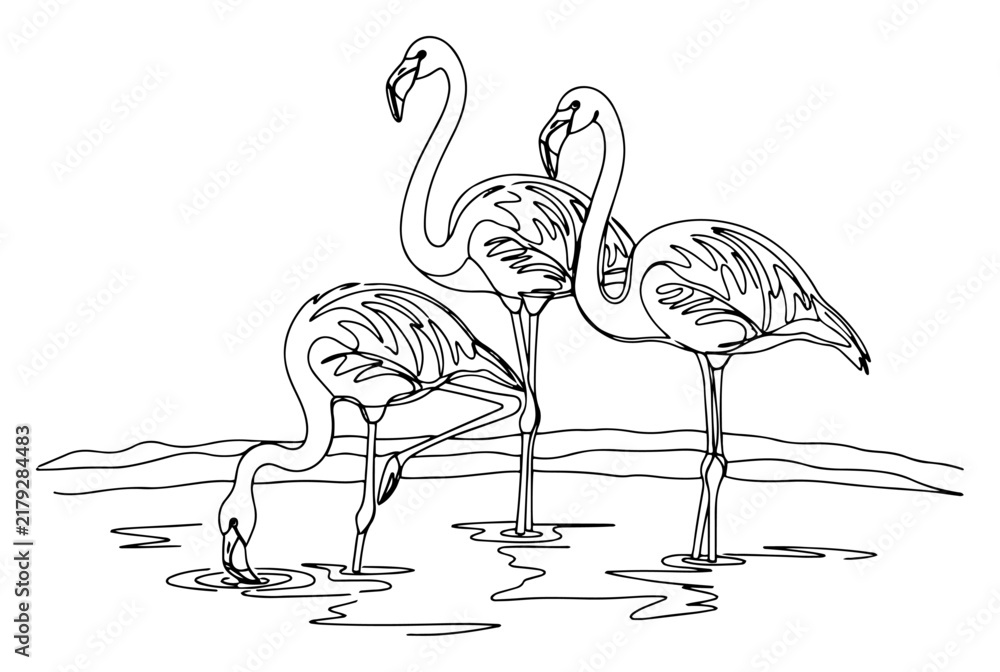 Obraz premium Continuous line drawing of three flamingos in water, minimalist vector illustration of exotic birds standing in a lake, nature and wildlife concept