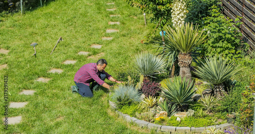 Photography Gardener designing a Mediterranean garden with Yuccas and cacti