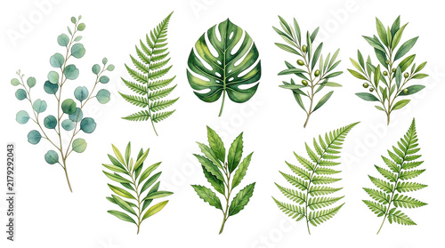 Fresh Green Botanical Leaves Watercolor Set