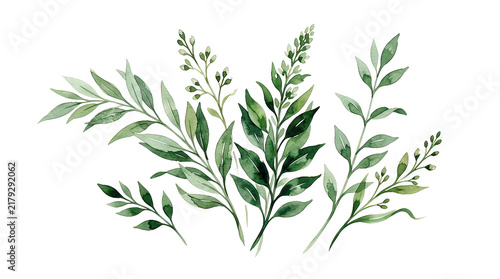 Fresh Green Botanical Leaves Watercolor Arrangement