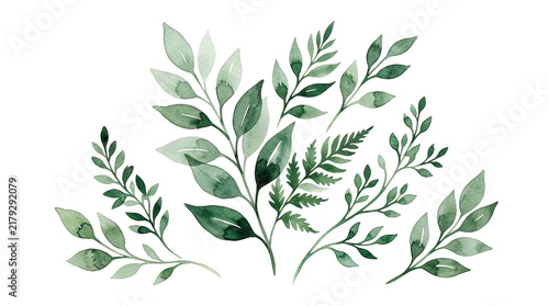 Green Leafy Branches Watercolor Illustration