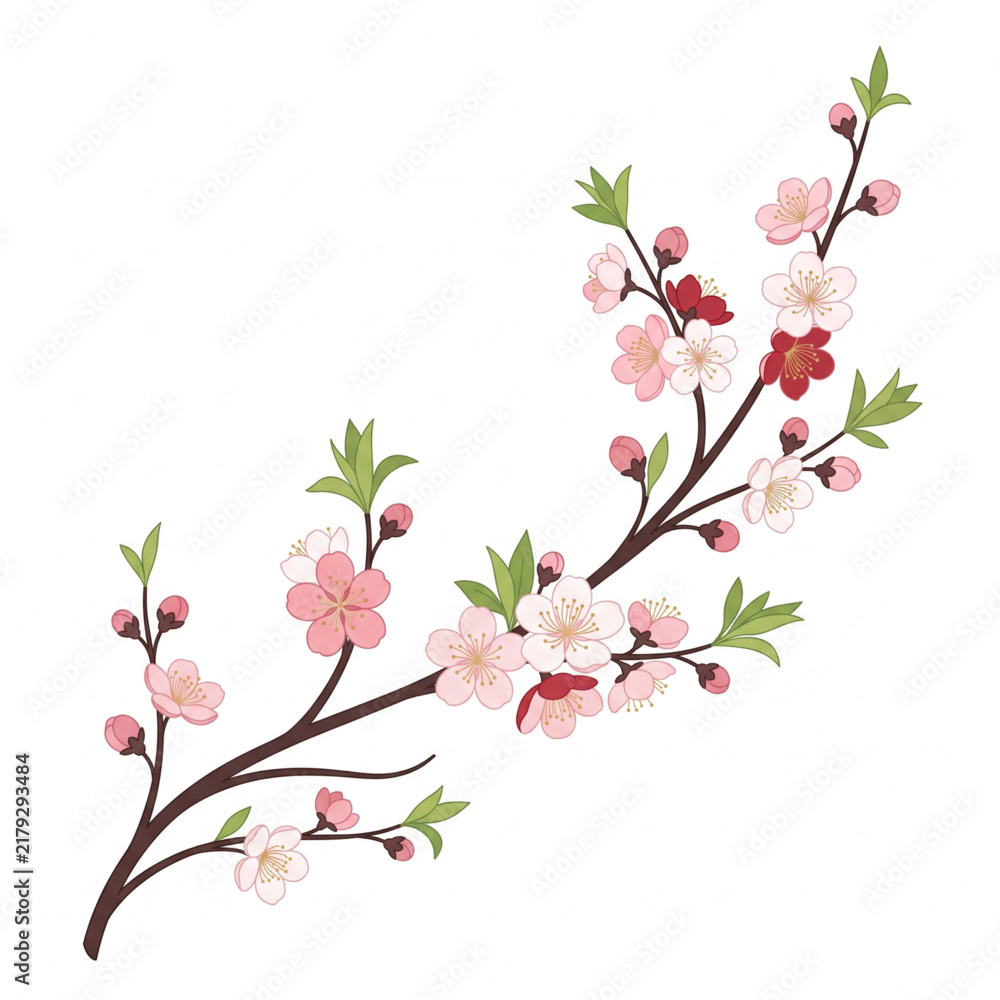 Fototapeta premium Delicate pink cherry blossom branch illustration