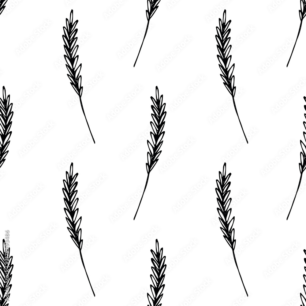 Obraz premium Seamless pattern with hand drawn cereal wheat oat rye barley rice ears spikelet Organic healthy food For decorative print, fabric, package, background