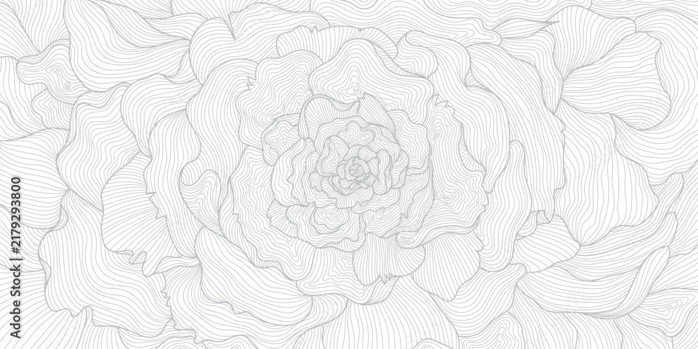 Obraz premium Luxury floral grey on white pattern with elegant line peonies, petals, modern botanical elements, Chinese and Japanese luxury art. Wallpaper, wedding ornament, tea packaging, spa branding, cards