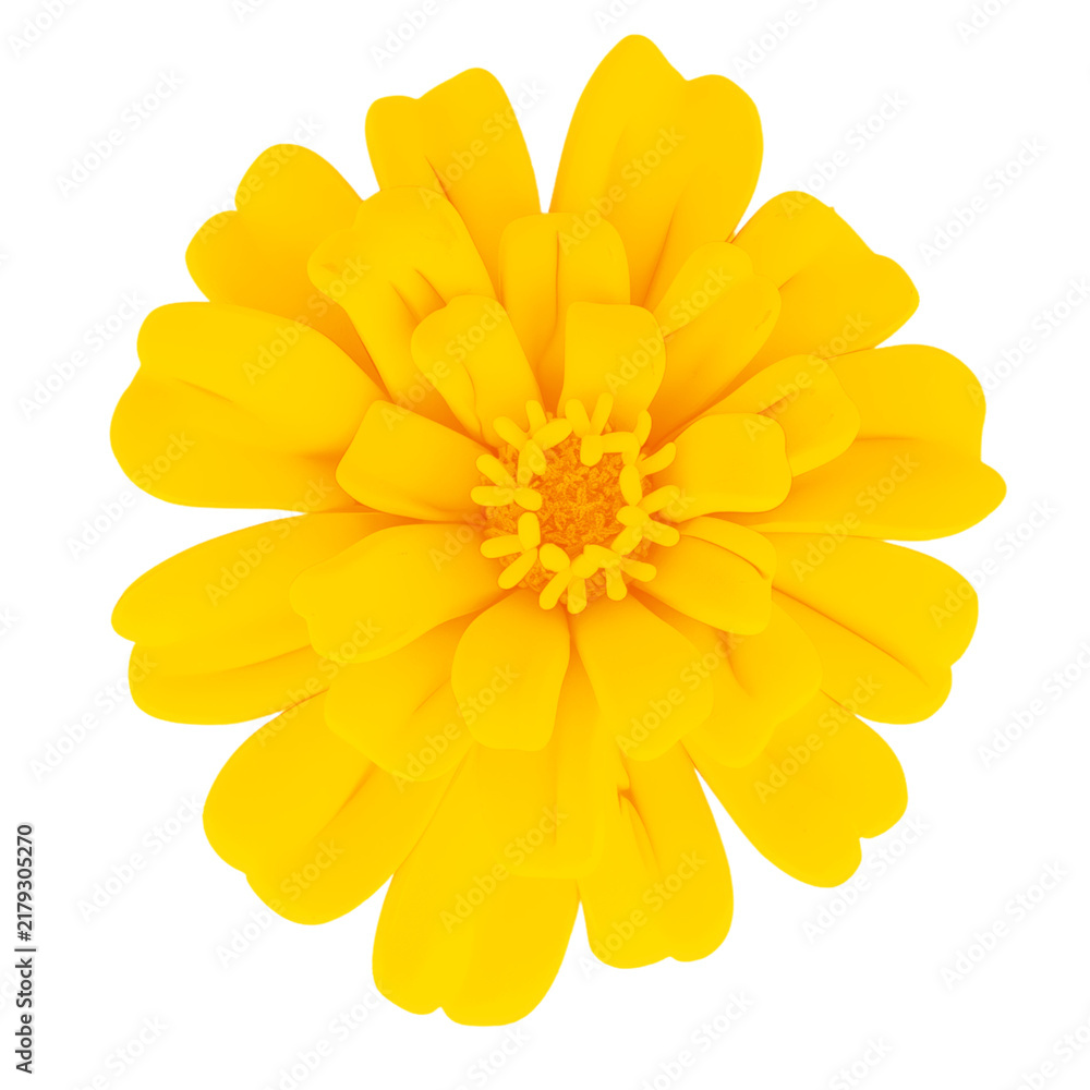 Fototapeta premium Yellow flowers 