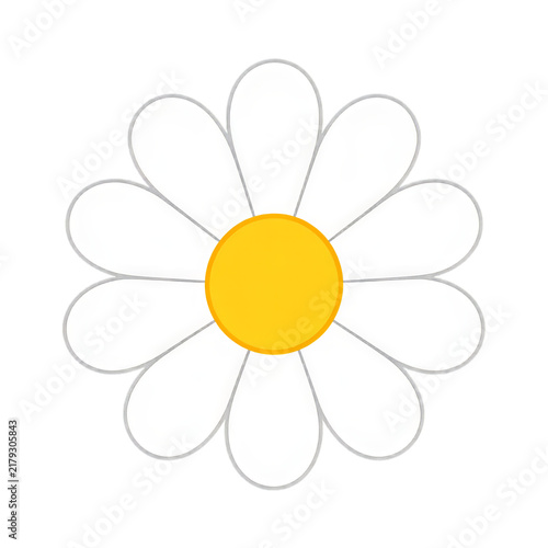 Single daisy flower