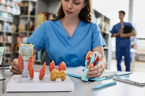 Canvastavla Hands-on exploration of neck and endocrine anatomy as an aspiring surgeon inspec