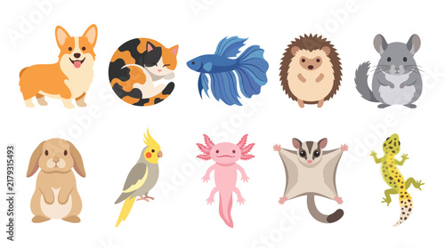 A charming collection of cute animal illustrations featuring diverse pets like dogs, cats, and exotic creatures, perfect for animal lovers and emporiums.