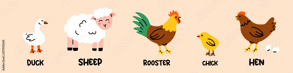 Fototapeta premium Vector set of cute farm animal illustration with duck, sheep, rooster, chick and hen on pastel background. Funny educational poultry character for kid poster, children flashcard, baby learning game.