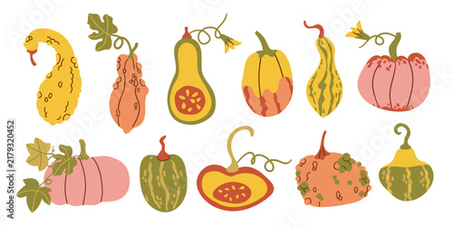 Simple pumpkin set. Cute collection of pumpkins, gourds and squashes in soft orange, green, and peach colors. Perfect for autumn pattern, banner, sticker autumn card. Flat vector illustration.