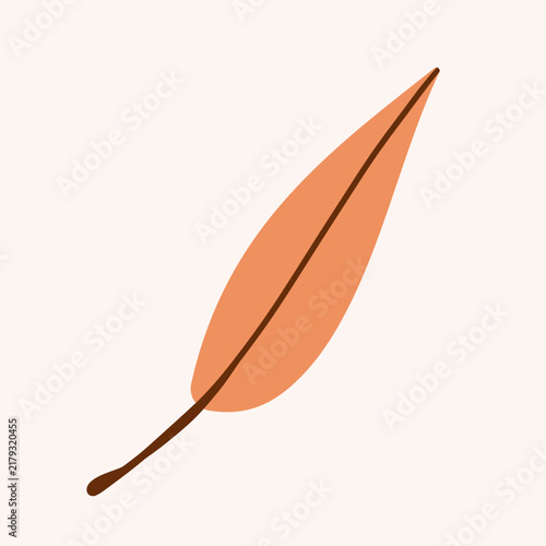Autumn willow leaf isolate on white background. Hand drawn illustration , flat style .Simple autumn fall leaf for pattern, banner, sticker. Hello autumn card. Flat vector illustration.