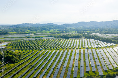 Фотография rows of solar panels on green hillside for renewable energy
