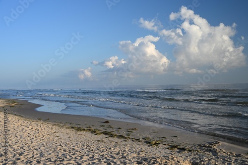 Baltic sea - beach in the morning