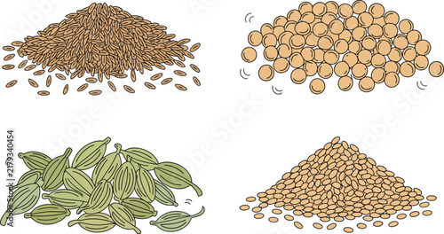 Collection of Natural Grains and Spices Heaps Featuring Rice Seeds Soybeans Green Cardamom Pods and Sesame Seeds Illustration