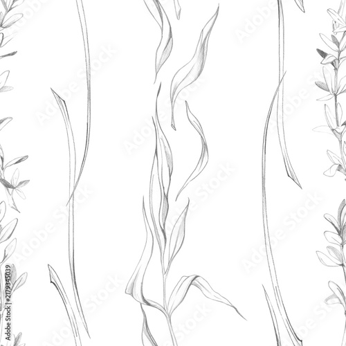 Tarragon, chives and lemongrass stripes, aromatic culinary herbs, fresh leaves and fragrant seasoning plants. Isolated pencil hand drawn seamless pattern. Kitchen decor, food wrapping, textile design