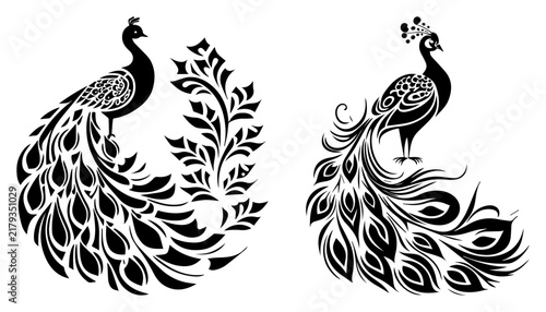 Majestic peacocks with decorative floral feathers in bold silhouette style