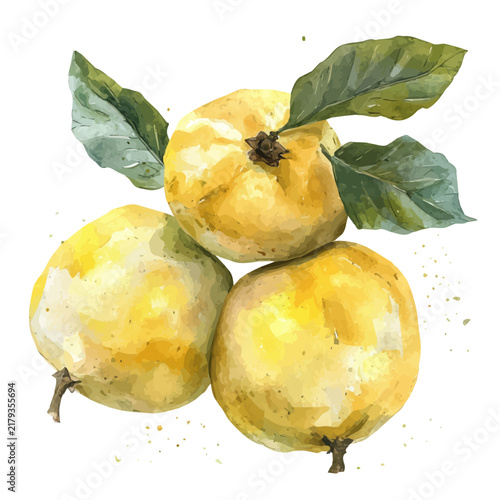 Konstfotografi Quince watercolor painterly illustration, semi-realistic fantasy design, magical