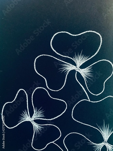 The clover is a traditional symbol of St. Patrick's Day in Ireland. Three minimalist clover branches are depicted on a black background.