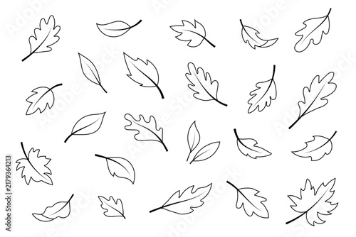 Set of hand-drawn outline autumn leaves in black and white