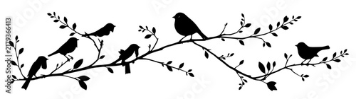 Birds set with detailed illustration featuring robin, sparrow, finch, songbird, and foliage with branches and pastel background