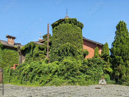 The house is completely overgrown with green ivy