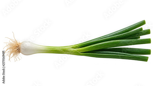 Cuadro en lienzo Fresh green onion with vibrant green stalks and white bulb on a clean white back